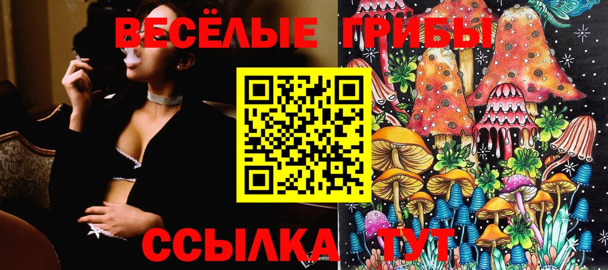 Псилоцибиновые грибы прущие грибы Ангарск