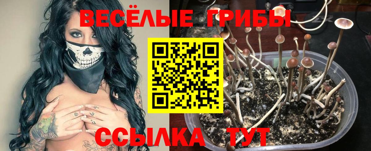Галлюциногенные грибы Magic Shrooms  Вход с VPN  Ангарск 